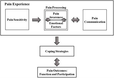 “When I’m in Pain, Everything Is Overwhelming”: Implications of Pain in Adults With Autism on Their Daily Living and Participation